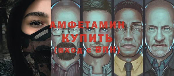 прущая мука Инсар