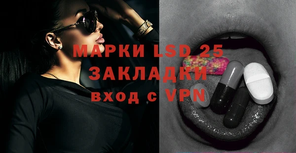 apvp Иннополис