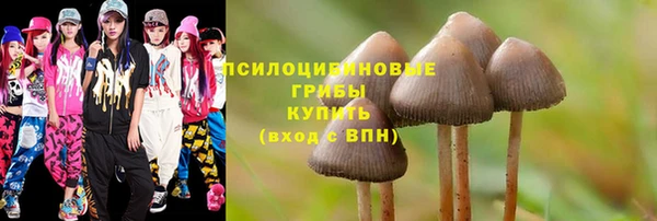 MDMA Premium VHQ Инта