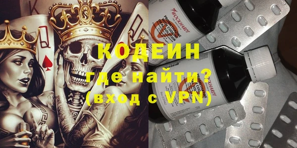 apvp Иннополис