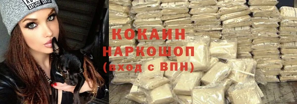 apvp Иннополис