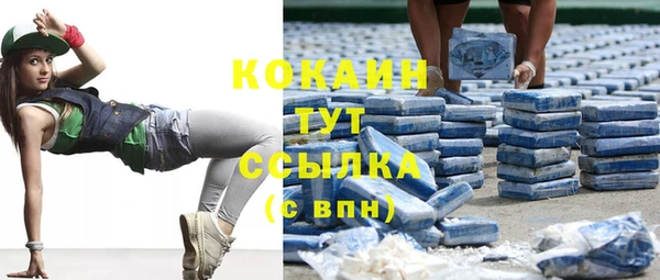 прущая мука Инсар