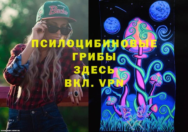 прущая мука Инсар