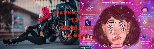 apvp Иннополис
